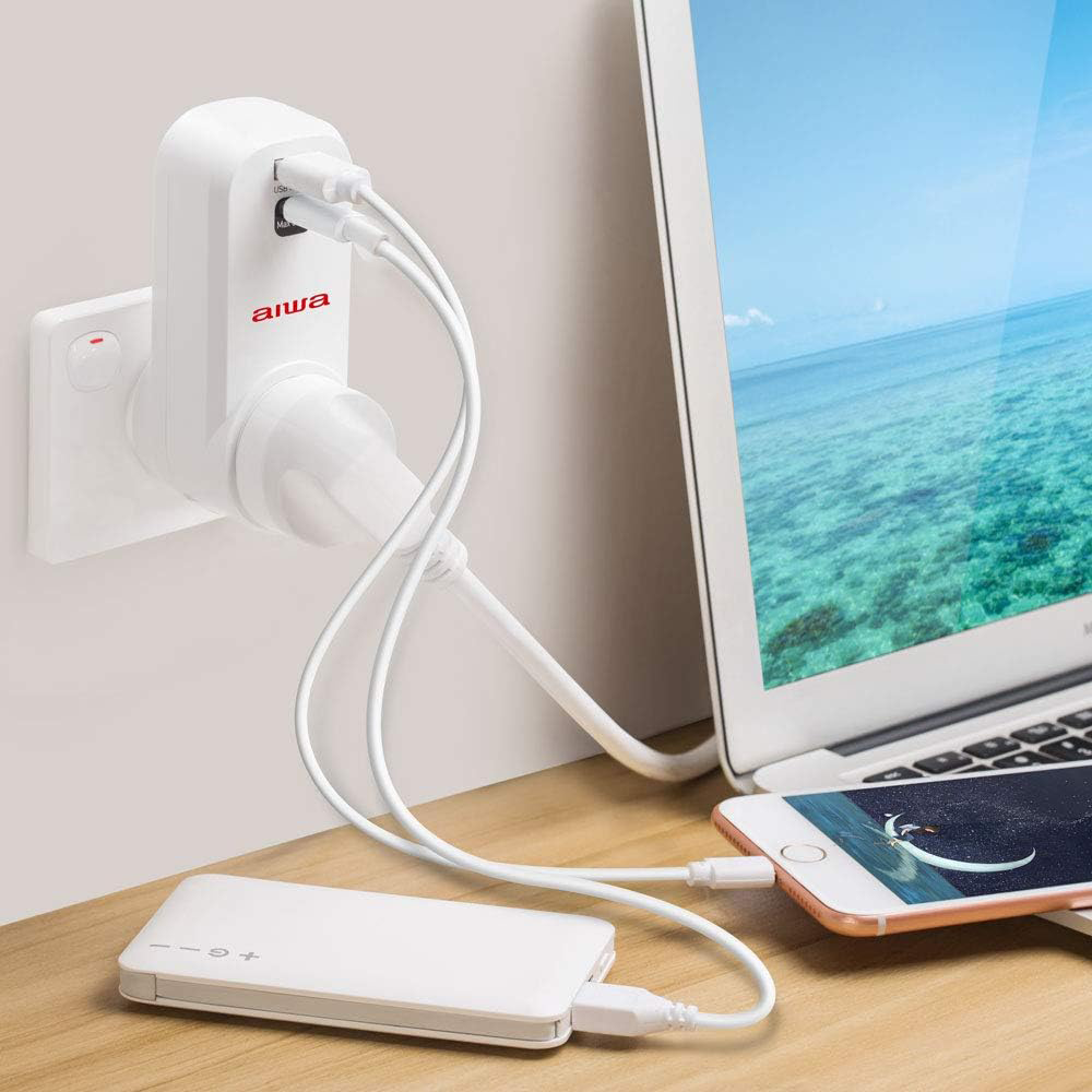 AIWA Compact Rotatable Adaptor with 1 Type-C and 1 Standard USB Port
