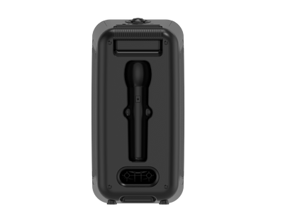 AIWA Portable Karaoke Speaker with Microphone, Bluetooth, TWS Ready, LED Lights